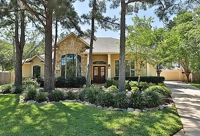 75 Pleasant Bend Place The Woodlands TX 77382