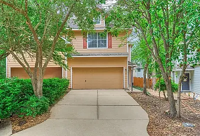10 Scenic Brook Court The Woodlands TX 77382