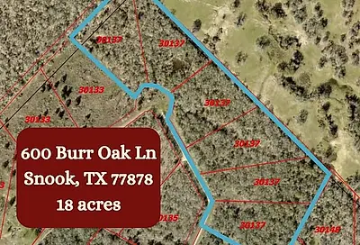 600 Burr Oak Ln Snook TX 77868