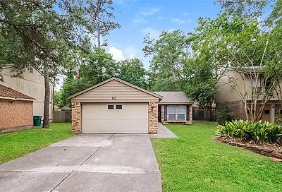 10 Hasting Court The Woodlands TX 77381