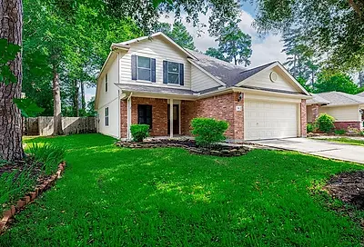 79 Hockenberry Place Conroe TX 77385