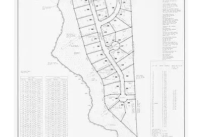 Lot 28 Hydrangea Drive Smithville TX 78957