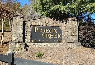 672 Pigeon Creek Drive Dawsonville GA 30534