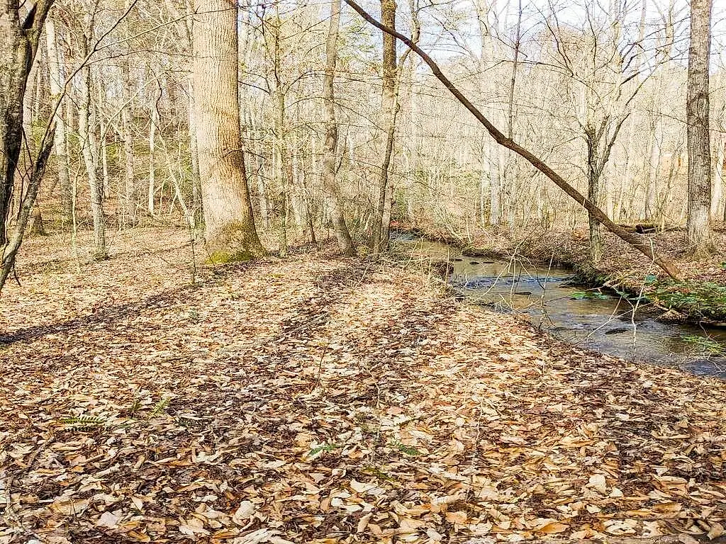 Tract A, Oak Ridge Trail