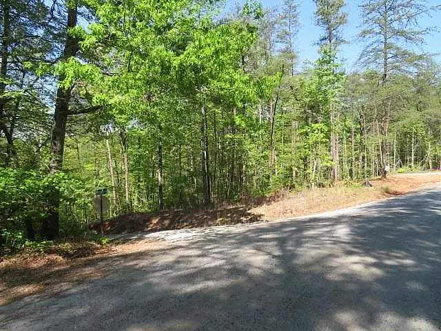 Mountain View Road