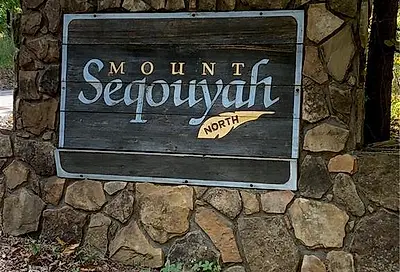 Mount Sequoyah Road Jasper GA 30143